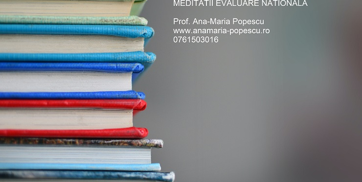 meditatii-evaluare-nationala