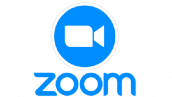 Pregatire Online - Zoom